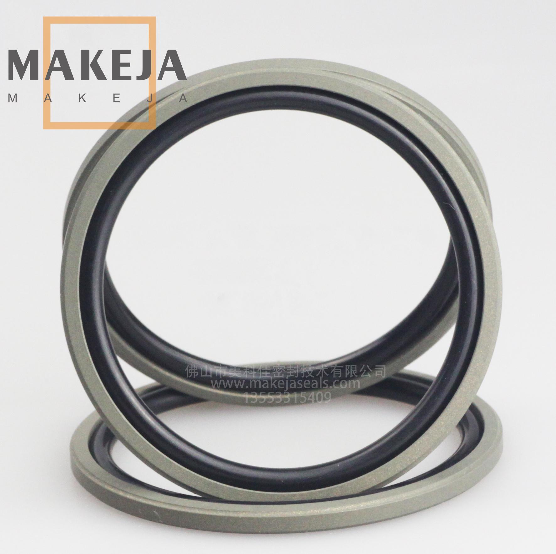 孔用T型格来圈DPT